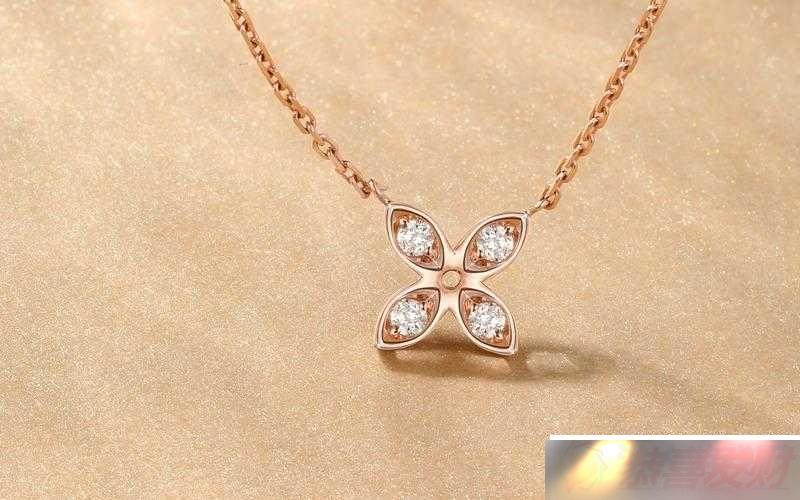 18K ľ֮ѡ