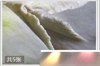 㡢һ졢ͷʲô