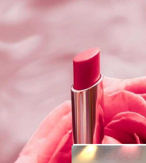 YSL ں 1258ˮɫ