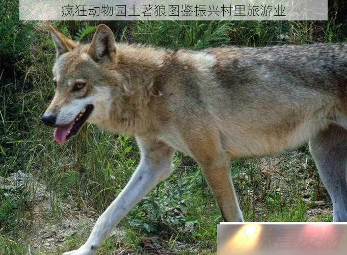 ԰ͼ˴ҵ