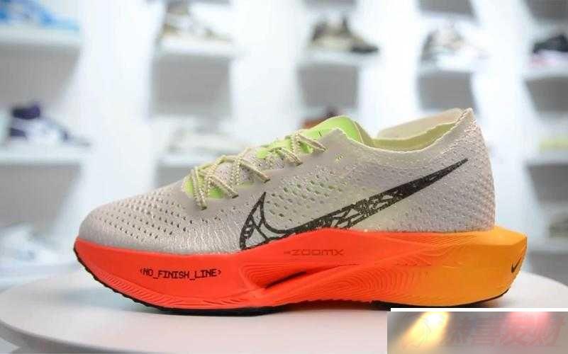 Nike Zoom Vaporfly EliteͻƼ