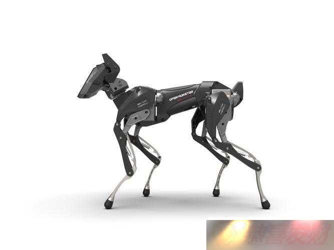 ZOOMSERVO ޹ƷܱԽ
