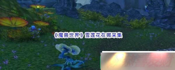 ħ绳ɷѩĲɼ ħ绳ɷѩλý