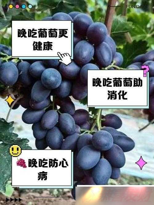 Ѳ׼ϼ飺ץ͵Ϊ
