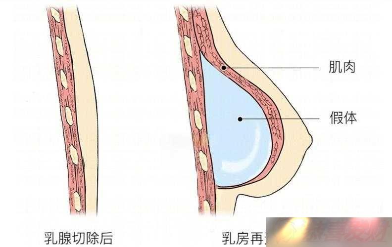 鷿ܴϹ ԭ
