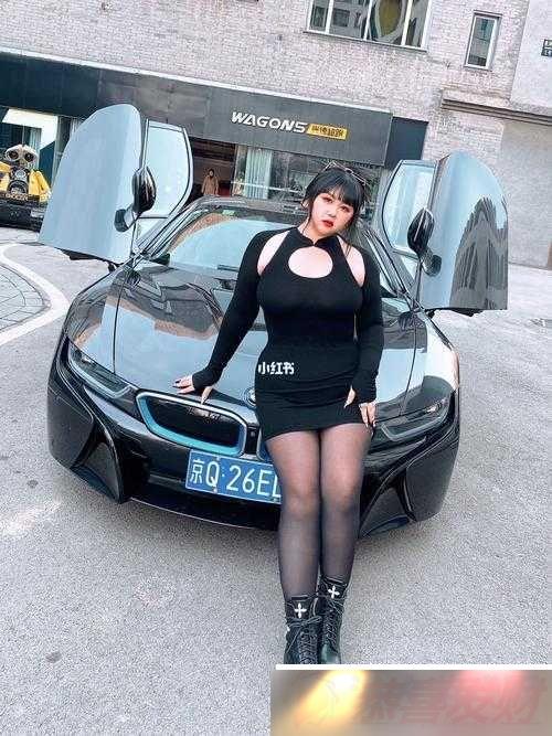 ̽ BBWBBWBBW ѩ֮