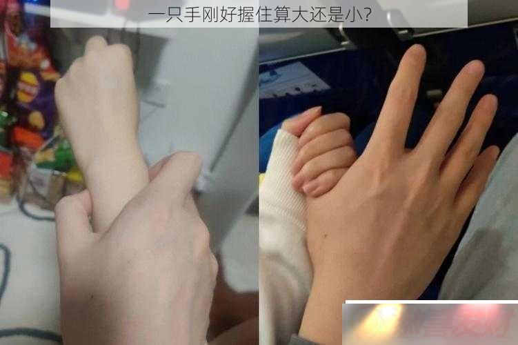 һָֻպסС