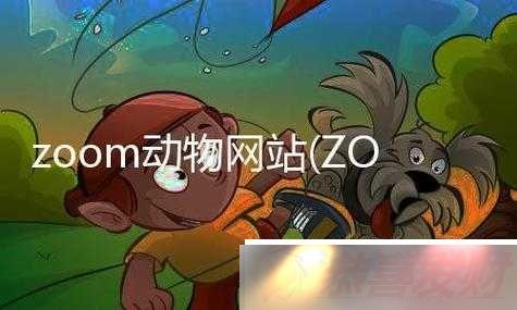  ZOOM  ZOOM ֮