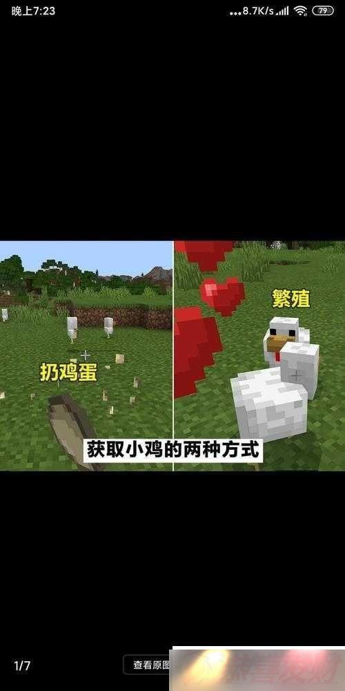 ҵ缦ιֳȫ֪