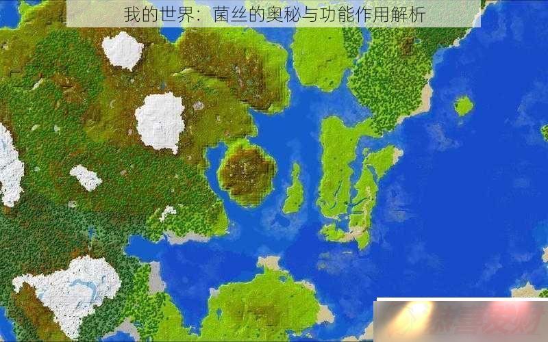 ҵ磺˿İ빦ý