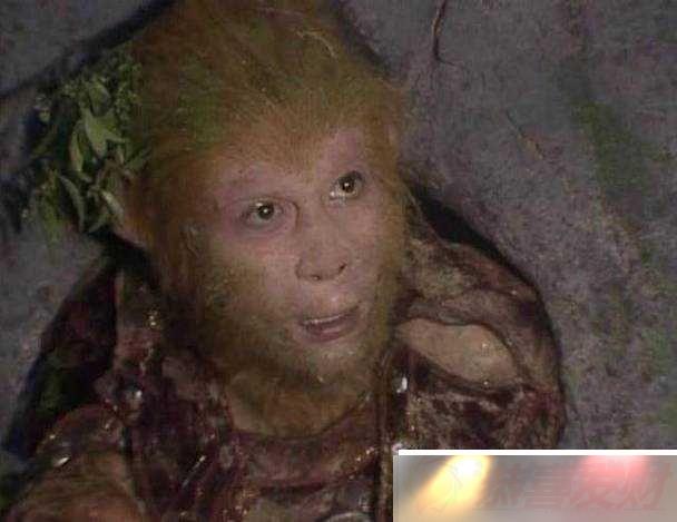 μд칬ձѹ