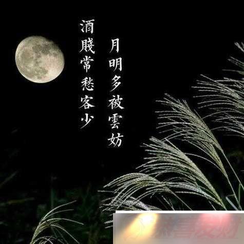 ϲ檣ȴ޼