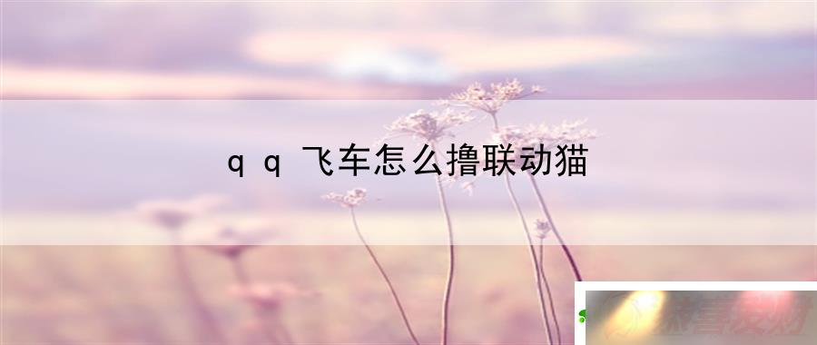 qqɳôߣèϷ뱳