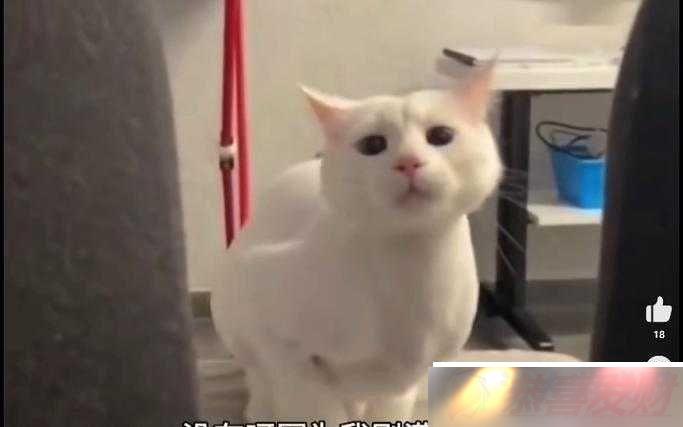  18 ˴ţ޵