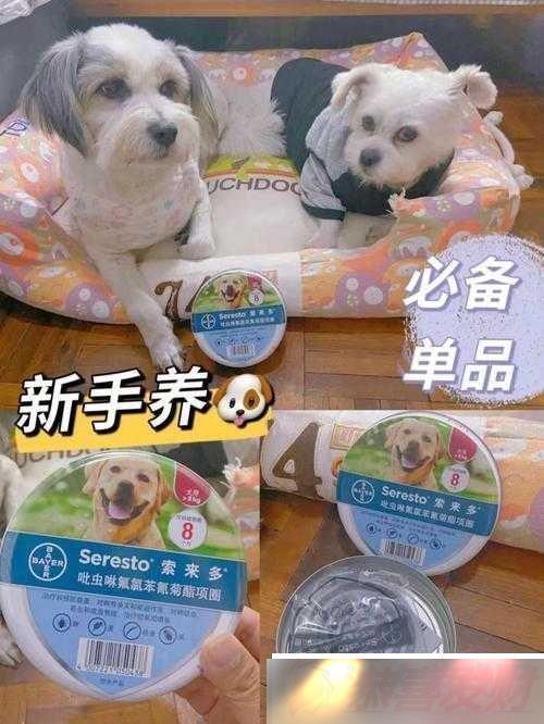 ˹䷽ȫʳƷؼ