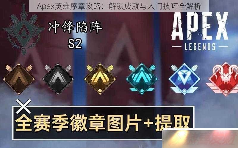 ApexӢ¹ԣɾżȫ