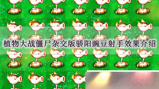 ֲսʬӽ潾㶹ʲôЧ ֲսʬӽ潾㶹Ч