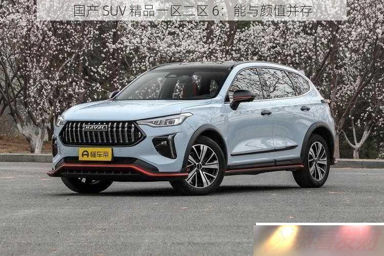  SUV Ʒһ 6ֵ