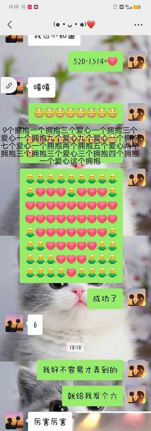 ΢ŹںŰļվÿջȡǶ ˣײ