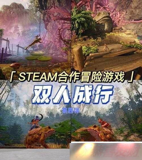 ˫˳е̽ռô Ϸؼ