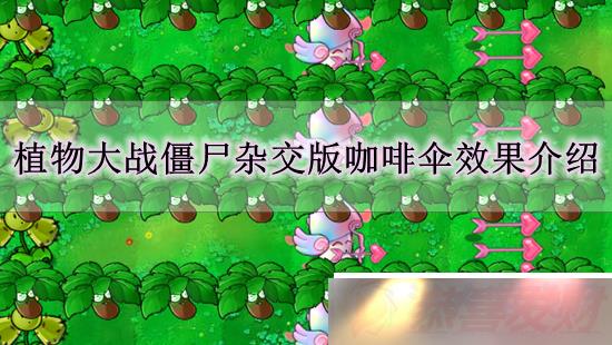 ֲսʬӽ濧ɡʲôЧ ֲսʬӽ濧ɡЧ