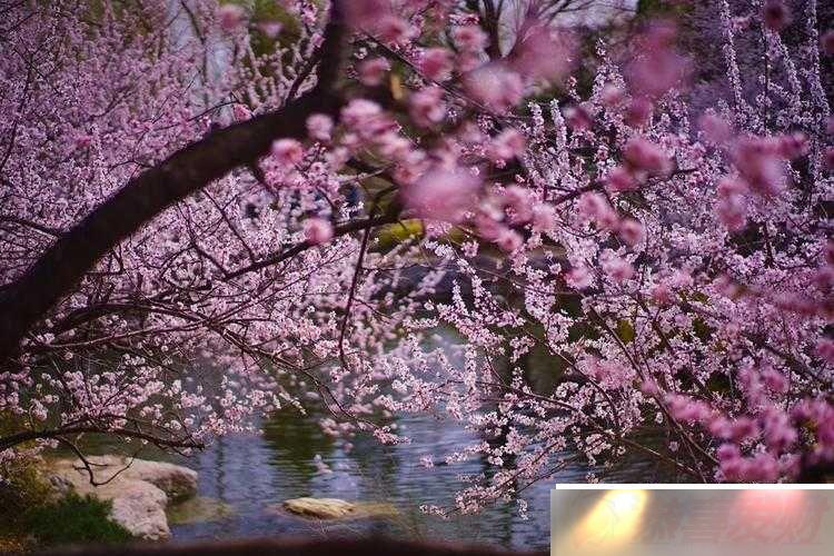 һԴˮȻ