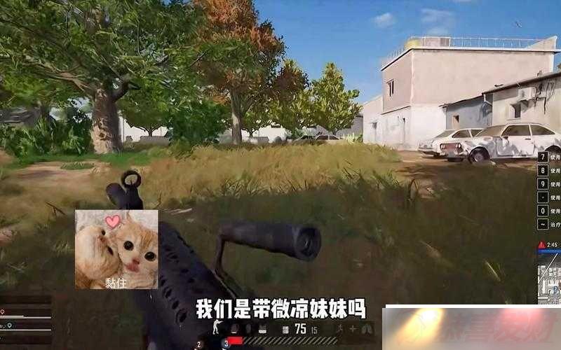 ͳԼ 8 Ƶ