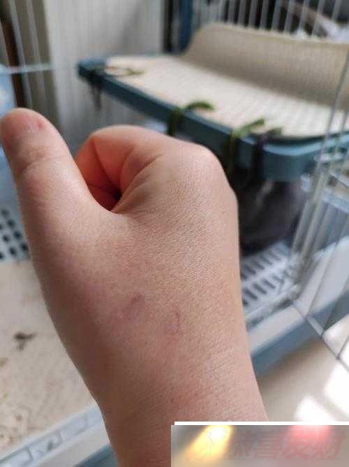 Сӱҧͨ˵