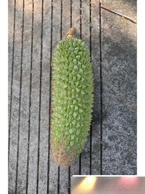 ݮϡӡƹ......