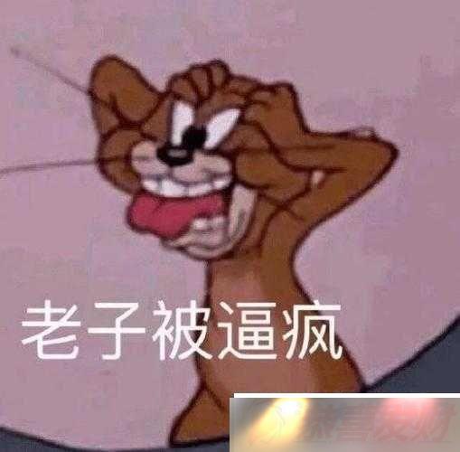 ⼸춼Ҫˣ̫ Ҫ