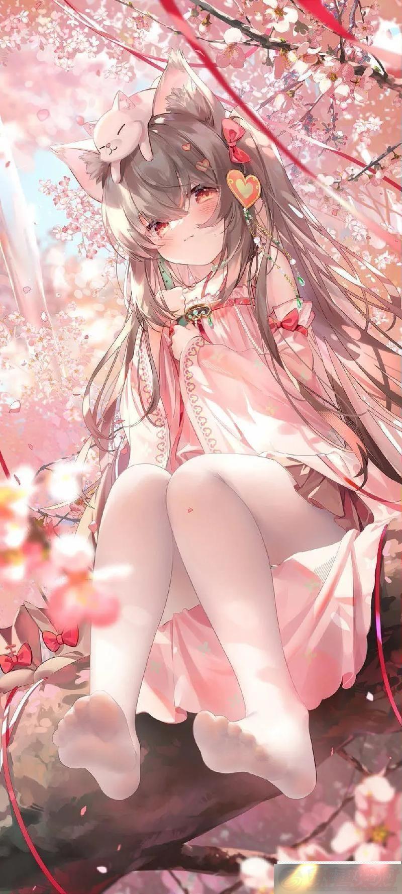 ѵӦø˼֤֮