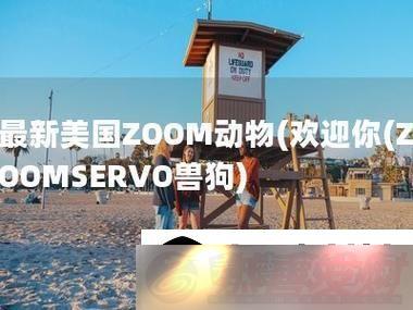 ZOOMSERVO޹-Цȫ񹲴