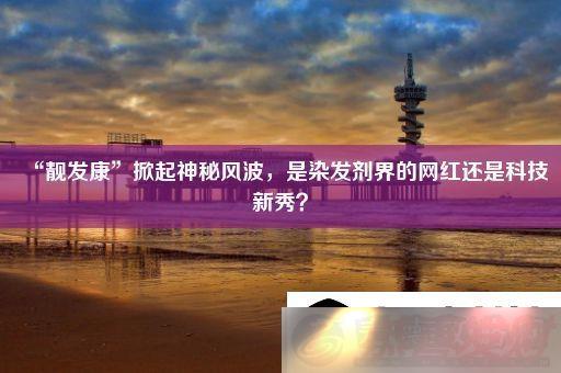 ط粨