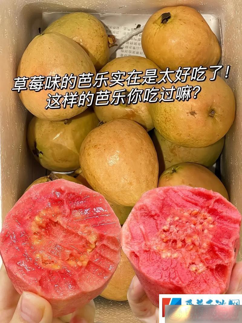 ݮVSͰ֣ļǿ-ЦĿƼʳԣ