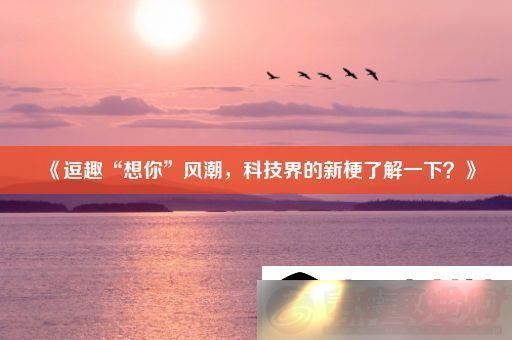 Ȥ㡱糱-Ƽ¹˽һ