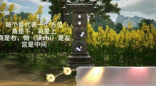 ô