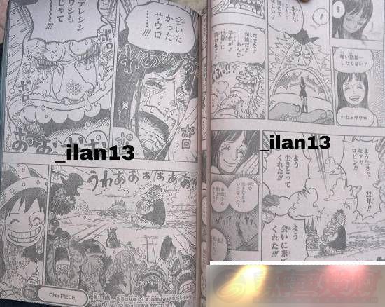 1133鱨