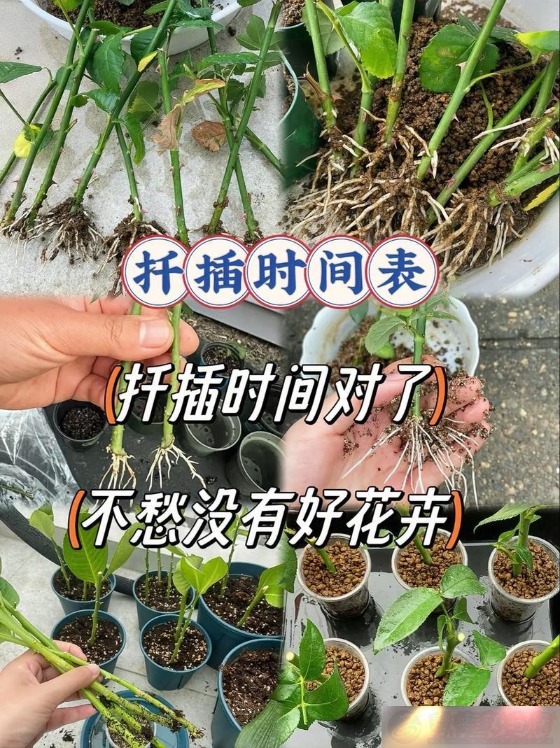 ڴϵ72Ǥ巽¶̬-û飺Ѷ
