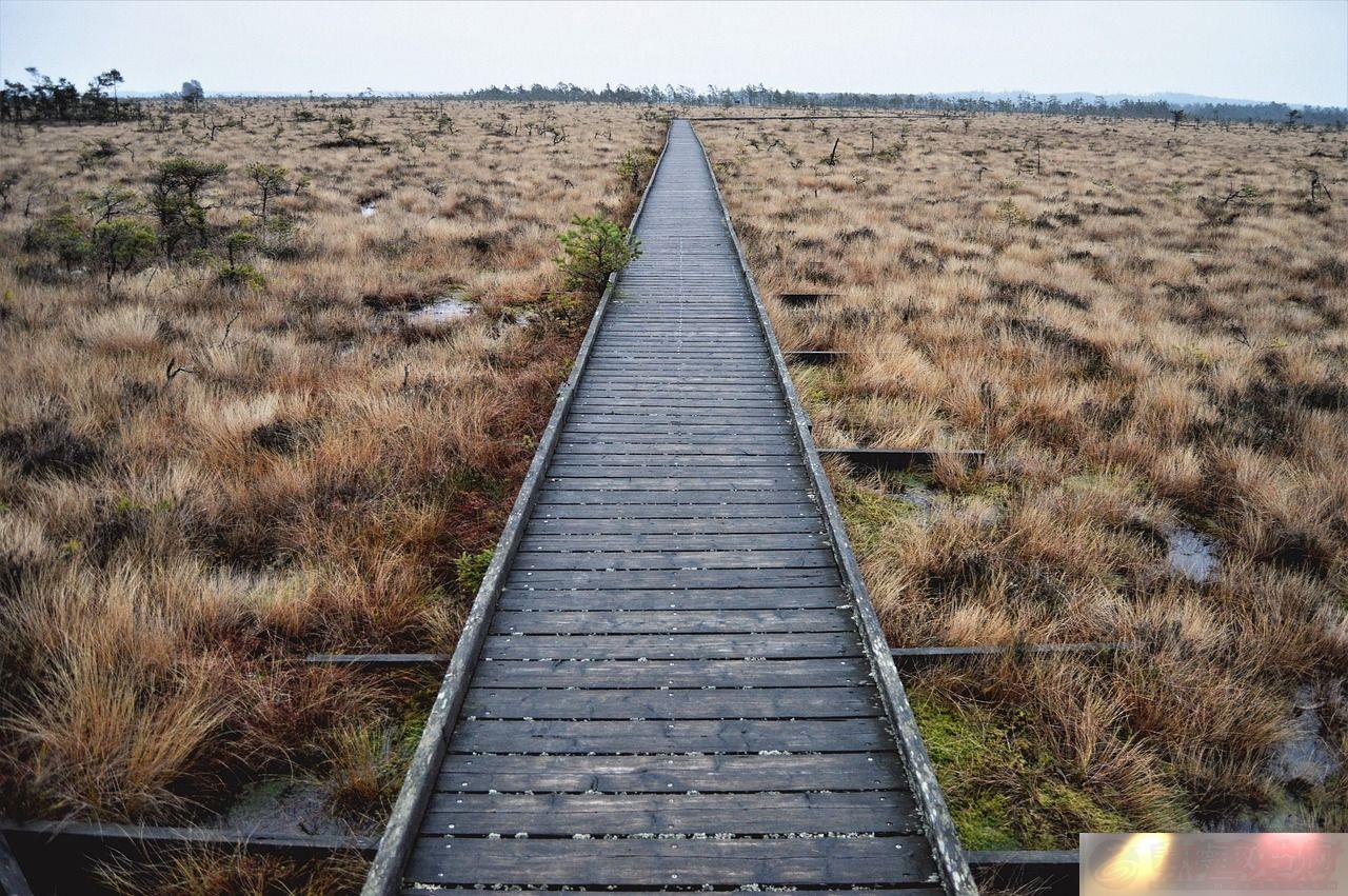 ֮·鱦ϵĽްؽ