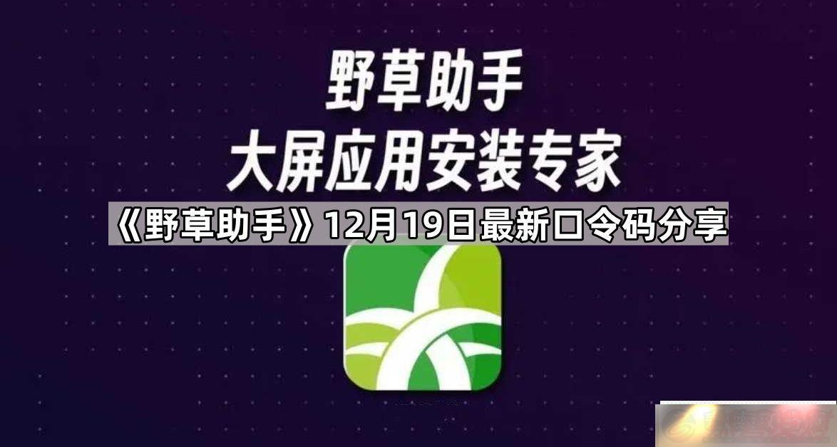 Ұ12.23Ƶʲô