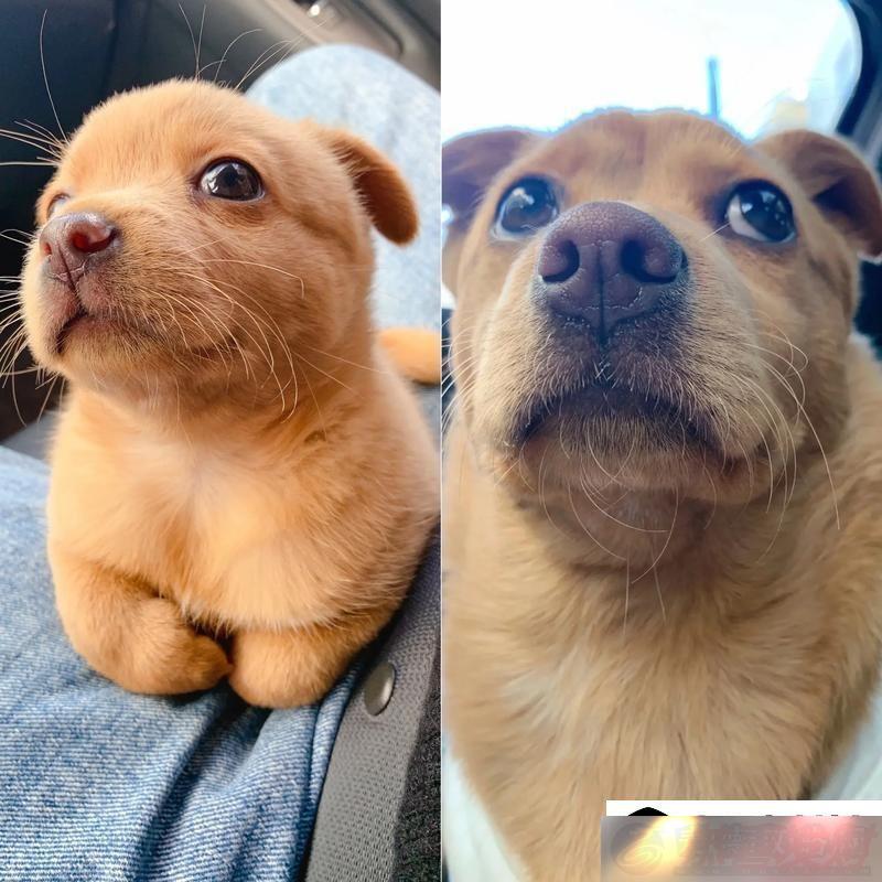 ʱ
