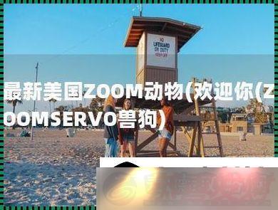 ZOOMSERVO޹