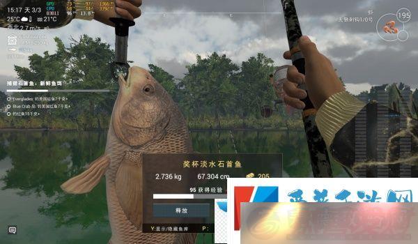 ȼ鿴