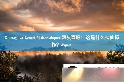 Java-GenericVisitorAdapter-ֱʲôɲ-