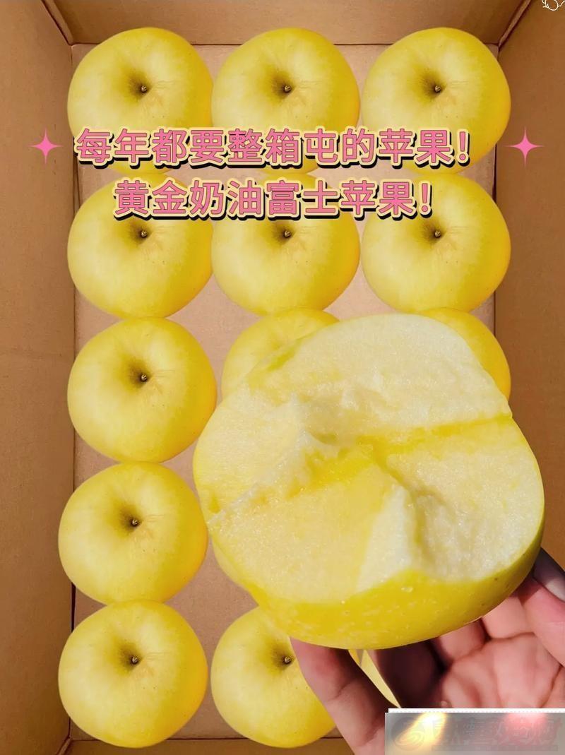 ̽C7C7.ccmǱӦ