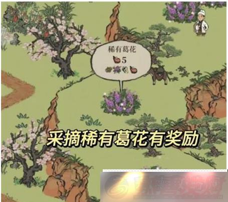 ϰپͼ˸̽ջô