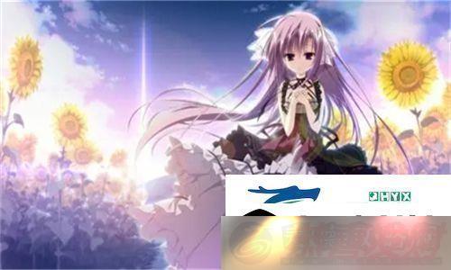 Ʒ׿Խ޿ɫõy31sǹƷ֮ѡ